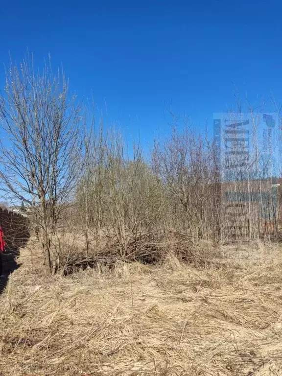 Участок в Нижегородская область, Богородский муниципальный округ, д. ... - Фото 1