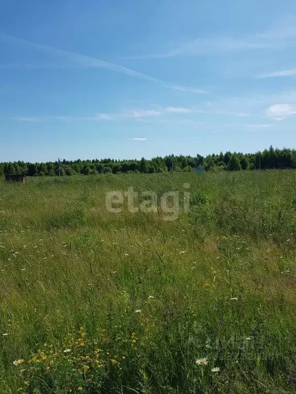 Участок в Калужская область, Калуга городской округ, д. Лихун ул. ... - Фото 1