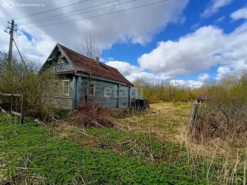 Участок в Кисельнинское сельское поселение, деревня Лужа (10 м) - Фото 1