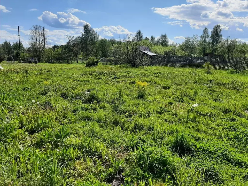 Участок в Тверская область, Конаковский муниципальный округ, д. ... - Фото 1
