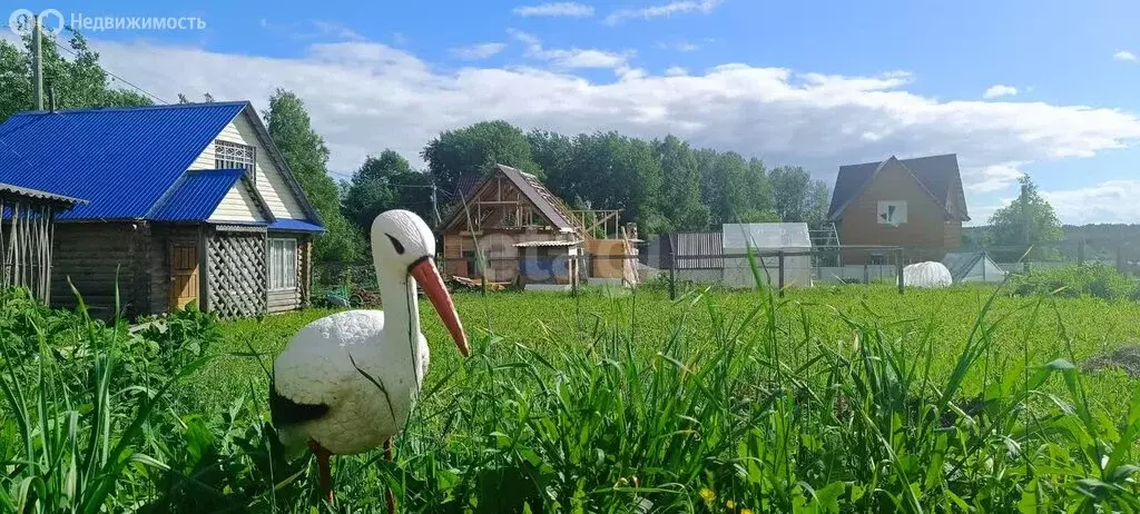 Участок в село Выльгорт, посёлок Пичипашня, Южная улица (6 м) - Фото 1