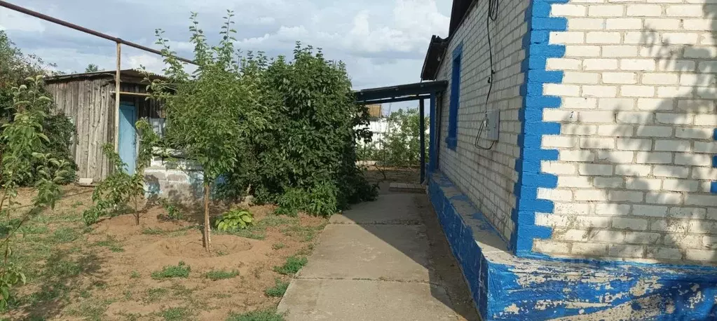 Дом в Волгоградская область, Быковский район, Верхнебалыклейское ... - Фото 1