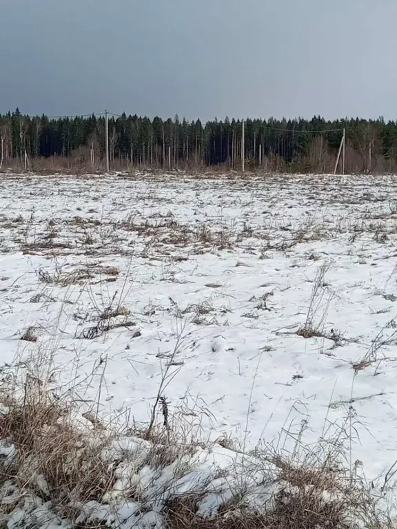 Участок в Московская область, Можайский муниципальный округ, ... - Фото 0