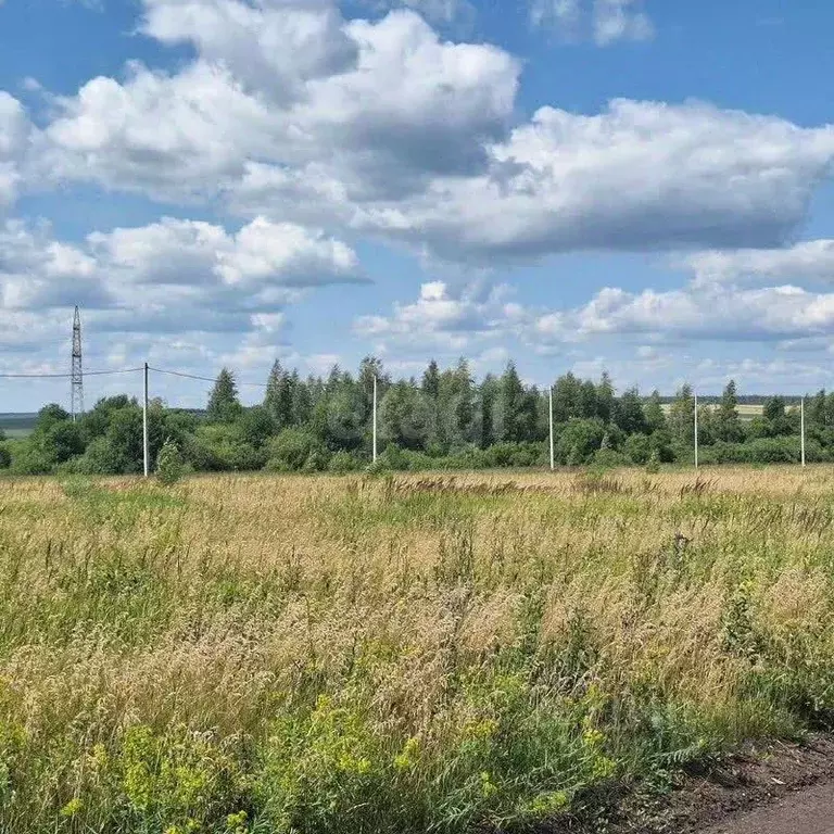 Участок в Мордовия, Лямбирский район, с. Берсеневка  (12.4 сот.) - Фото 1