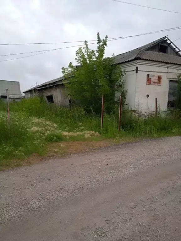 Помещение свободного назначения в Новосибирская область, с. Убинское ... - Фото 1