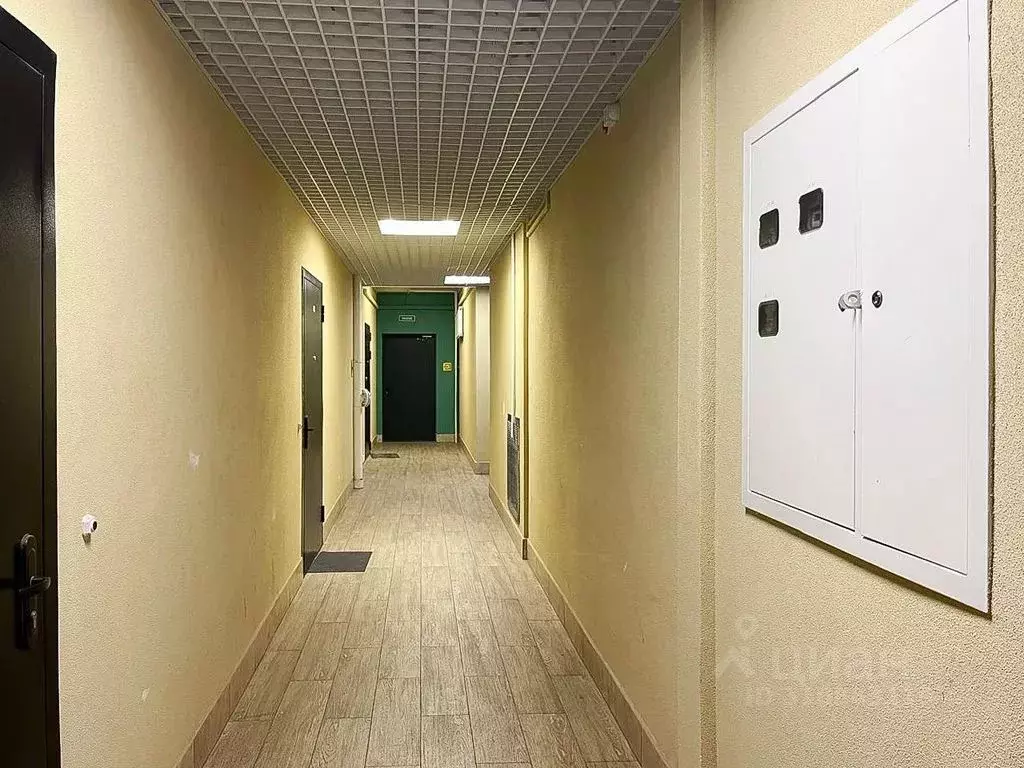 1-к кв. Санкт-Петербург пос. Песочный, Садовая ул., 83 (28.0 м) - Фото 1