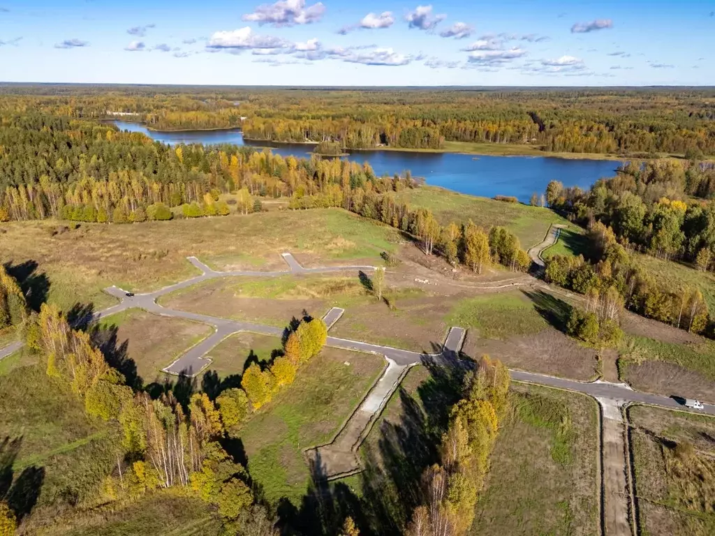 Участок в Ленинградская область, Приозерский район, Ромашкинское ... - Фото 2