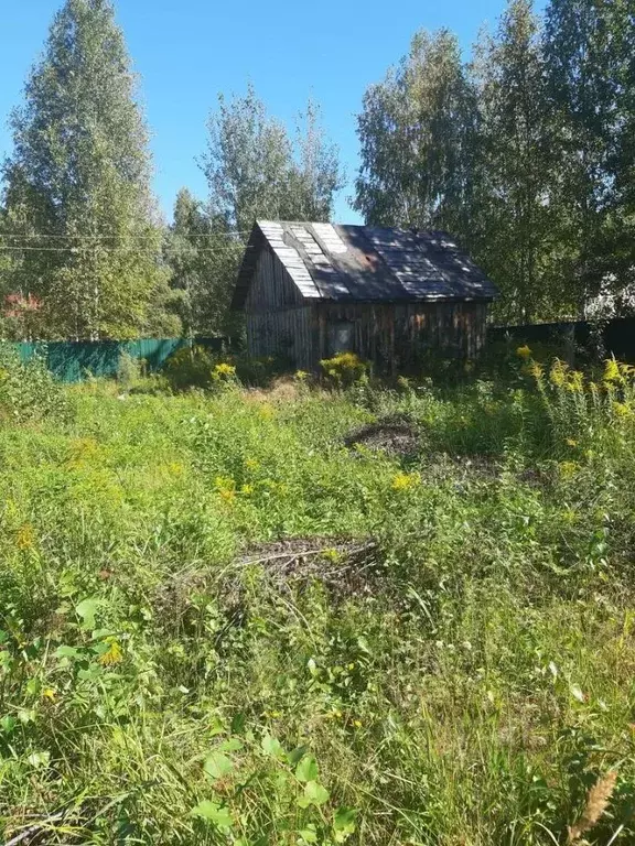 Дом в Нижегородская область, Балахнинский муниципальный округ, Большое ... - Фото 0