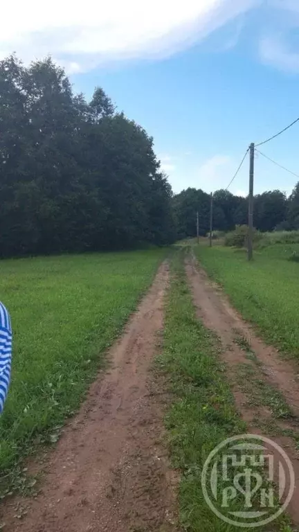 Участок в Ленинградская область, Лужский район, Серебрянское с/пос, д. ... - Фото 2