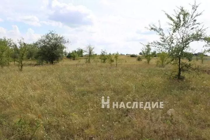 Участок в Ростовская область, Белая Калитва Верхняя ул. (10.0 сот.) - Фото 0