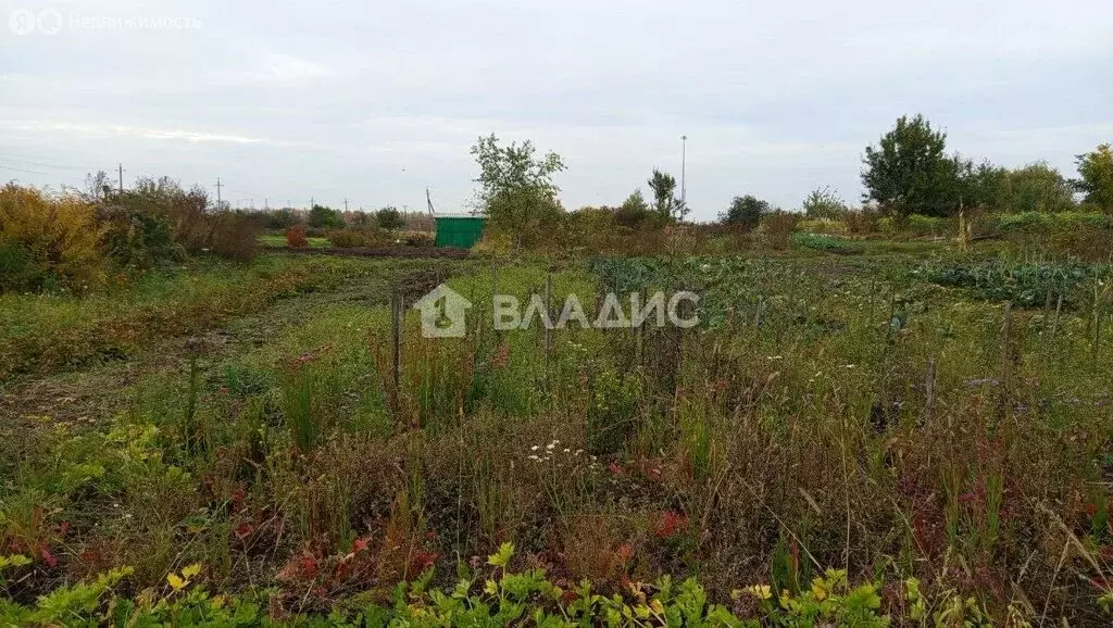 Участок в Добрунь, Дачная улица (6 м) - Фото 1