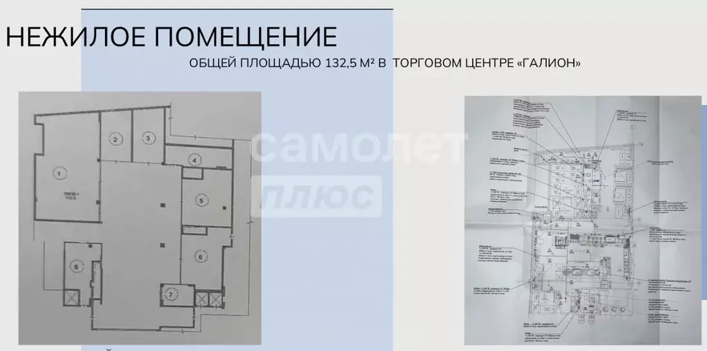 Помещение свободного назначения в Московская область, Балашиха ш. ... - Фото 1