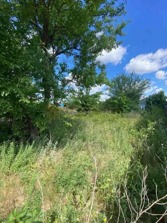 Участок в Ростовская область, Батайск Весна ДНТ, ул. 21-й Проезд (6.0 ... - Фото 1