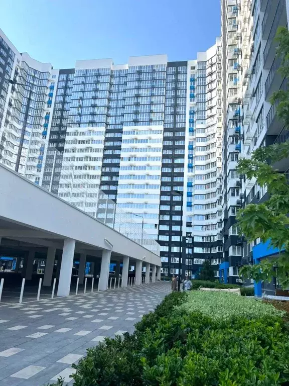 Студия Краснодарский край, Новороссийск ул. Куникова, 47Г (30.0 м) - Фото 1