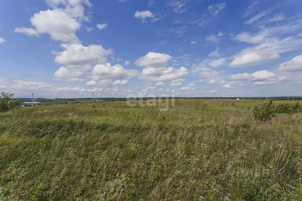 Участок в Башкортостан, Чишминский район, Лесной сельсовет, с. ... - Фото 2