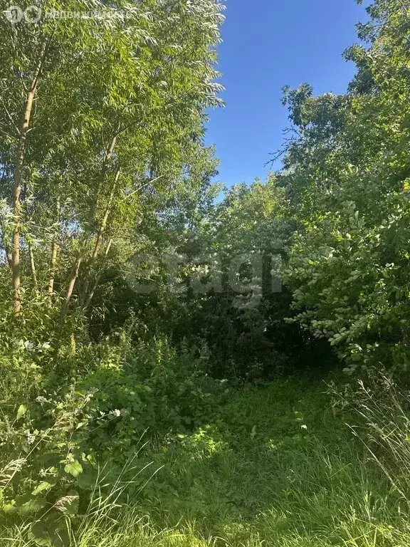 Участок в Богородицкий район, сельское поселение Бахметьевское, село ... - Фото 2