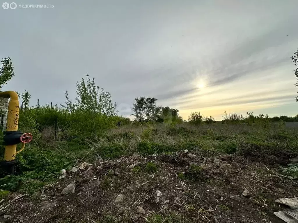 Участок в Чебаркульский округ, деревня Боровое, улица Гагарина (23.77 ... - Фото 0