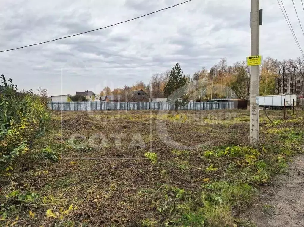 Участок в Воронежская область, Рамонский район, с. Березово  (14.0 ... - Фото 1