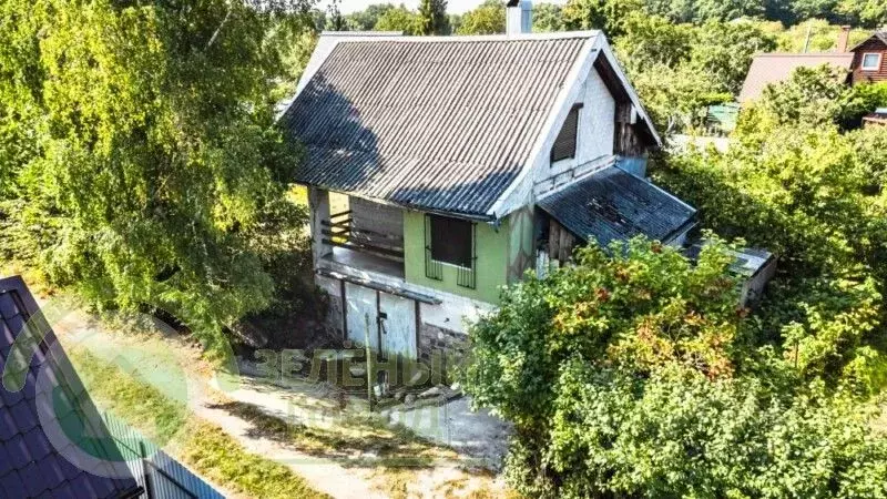 Участок в Калининградская область, Пионерский ш. Калининградское (5.0 ... - Фото 1