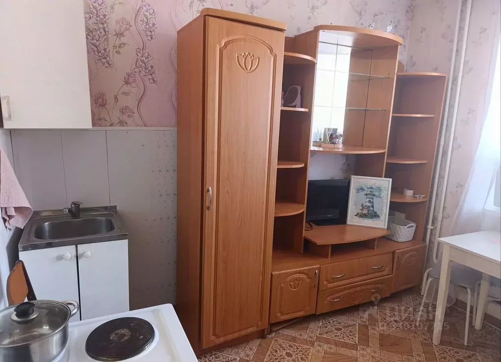 Студия Новосибирская область, Бердск ул. Кристальная, 13 (19.0 м) - Фото 1