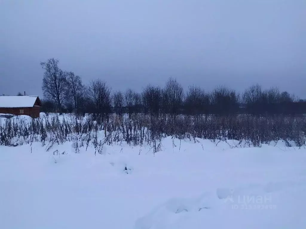 Участок в Вологодская область, Сокольский муниципальный округ, д. ... - Фото 1