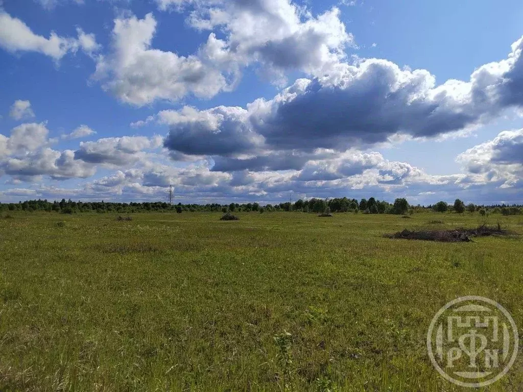 Участок в Ленинградская область, Ломоносовский район, Кипенское с/пос, ... - Фото 1