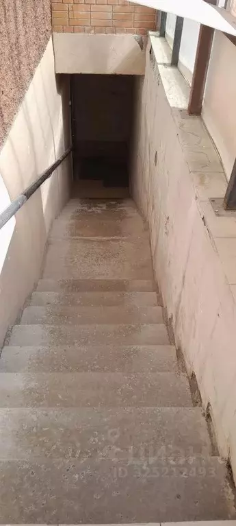 Помещение свободного назначения в Новосибирская область, Новосибирск ... - Фото 2