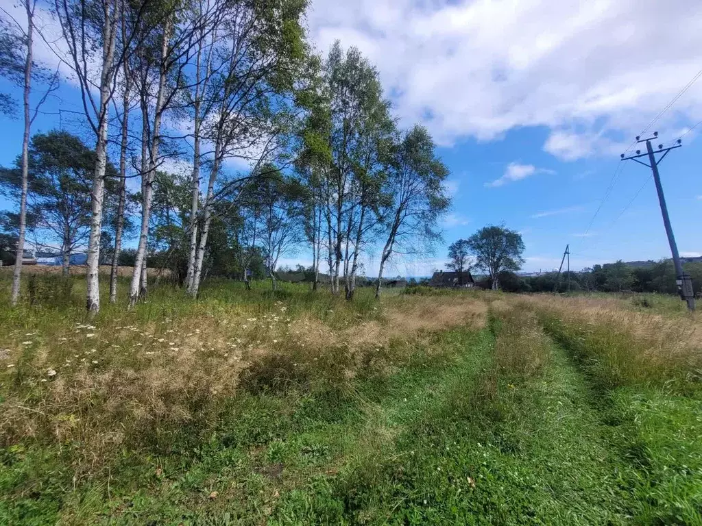 Участок, 12 сот., поселения (ижс) - Фото 1