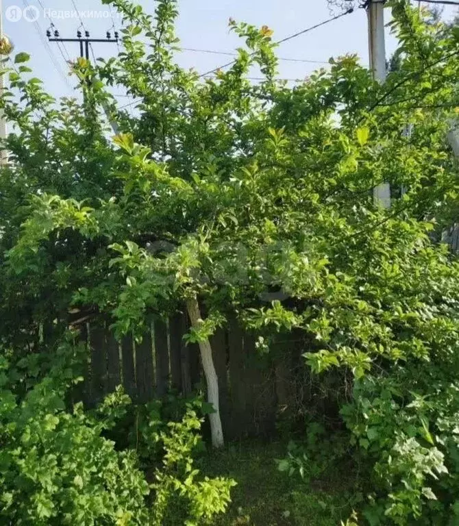 Участок в Иркутск, 2-я Аларская улица (6.6 м) - Фото 2