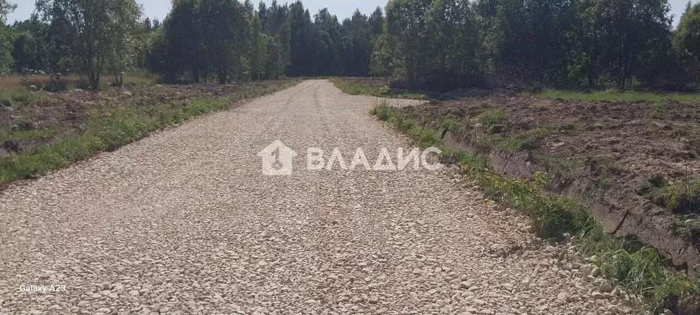 Участок в Ленинградская область, Волосовский район, д. Большая Вруда  ... - Фото 2