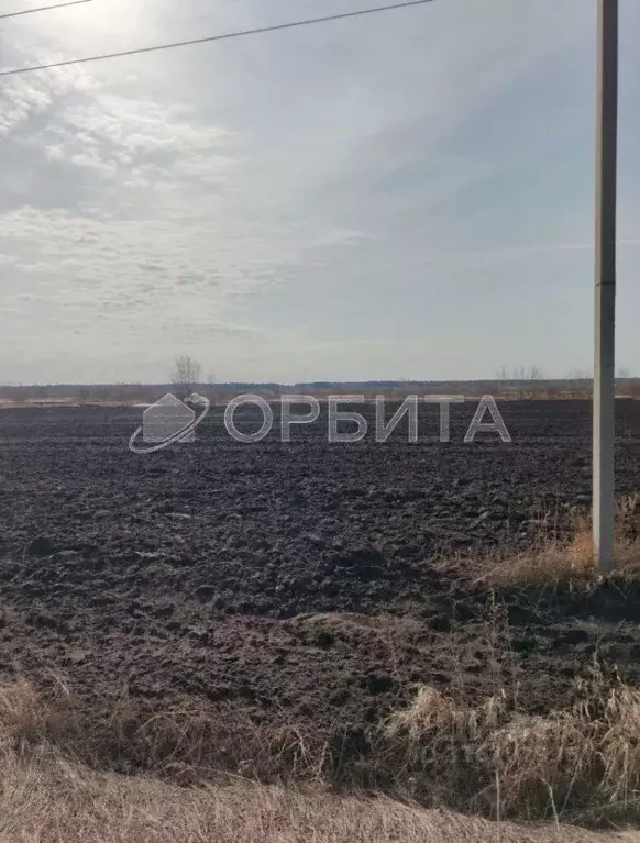 Участок в Тюменская область, Тюменский район, с. Мальково Новая ул., ... - Фото 2