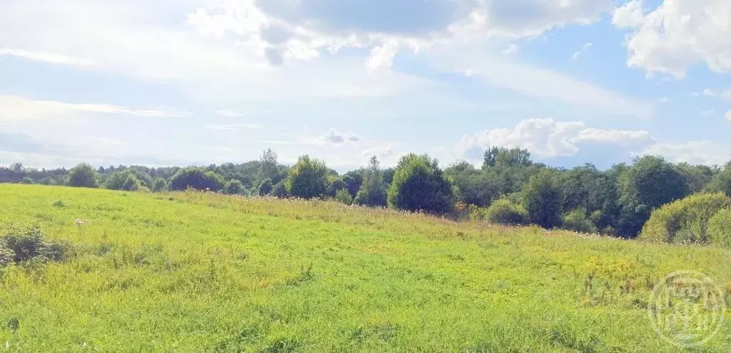 Участок в Ленинградская область, Ломоносовский район, Оржицкое с/пос, ... - Фото 1