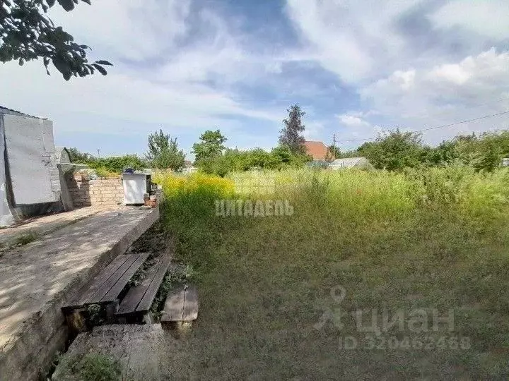 Участок в Воронежская область, Воронеж СНТ Русское Поле ТСН, 431 (6.0 ... - Фото 1