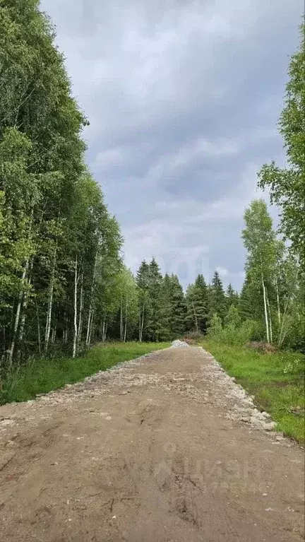 Участок в Пермский край, Краснокамский муниципальный округ, пос. ... - Фото 1