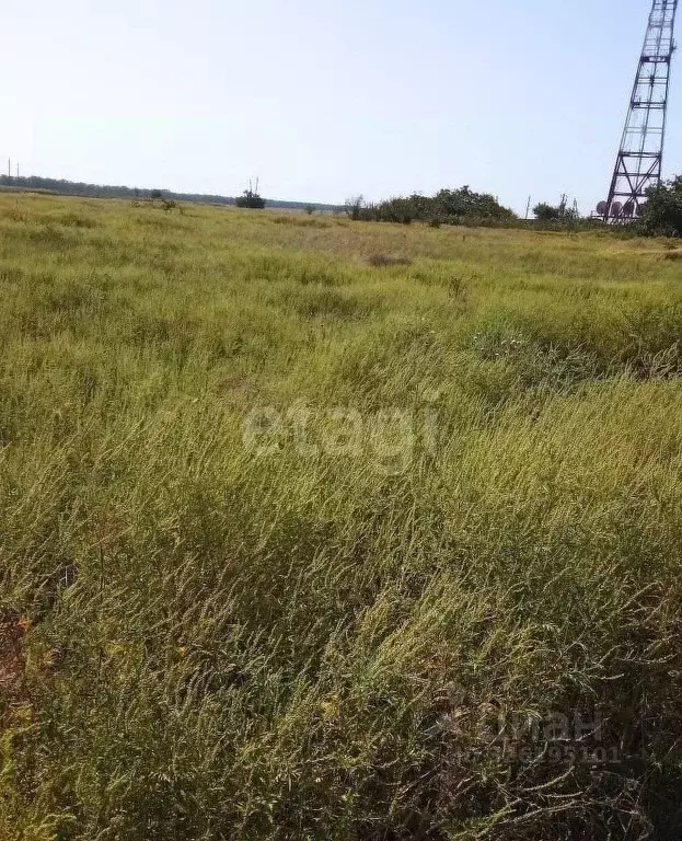 Участок в Краснодарский край, Ейский район, Александровское с/пос, с. ... - Фото 2