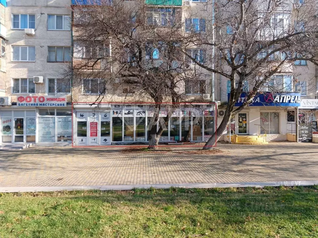 Торговая площадь в Краснодарский край, Новороссийск просп. ... - Фото 2