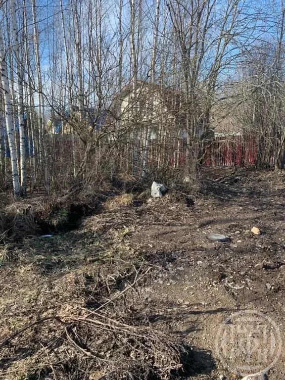 Участок в Ленинградская область, Всеволожский район, Рахья рп ул. ... - Фото 2