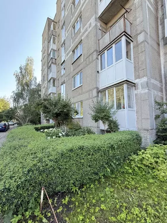 2-к кв. Калининградская область, Калининград ул. Гайдара, 101 (50.0 м) - Фото 1