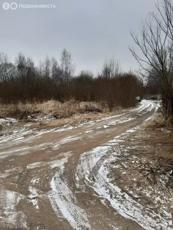 Участок в Одинцовский городской округ, садовое товарищество ... - Фото 0