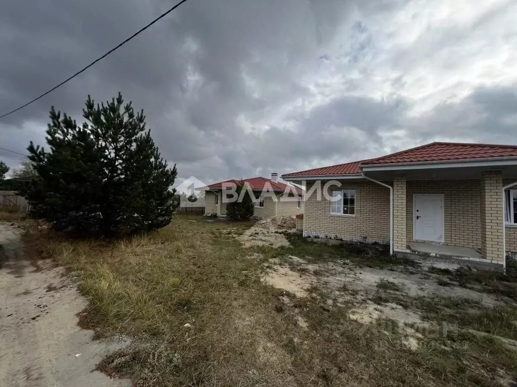 Дом в Воронежская область, Новоусманский район, с. Бабяково ул. ... - Фото 1