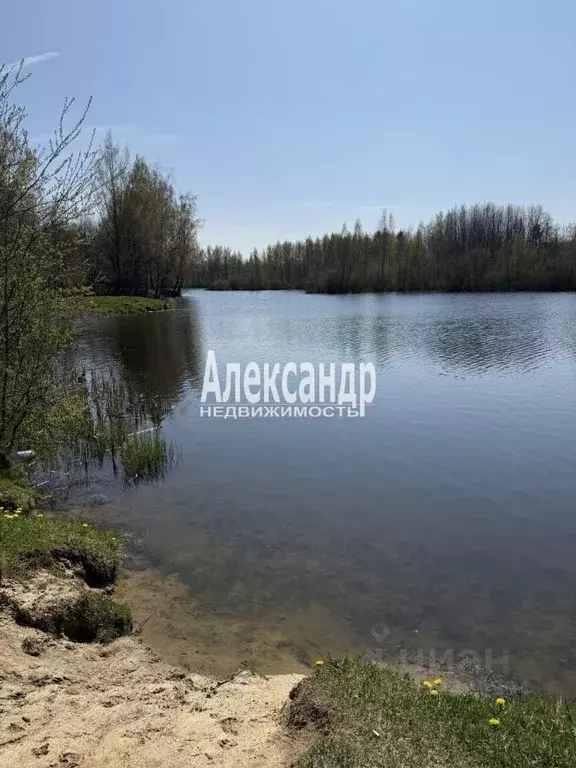 Дом в Ленинградская область, Тосненский район, Никольское городское ... - Фото 0