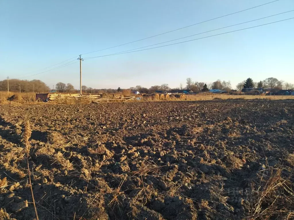 Участок в Приморский край, Октябрьский муниципальный округ, с. ... - Фото 1