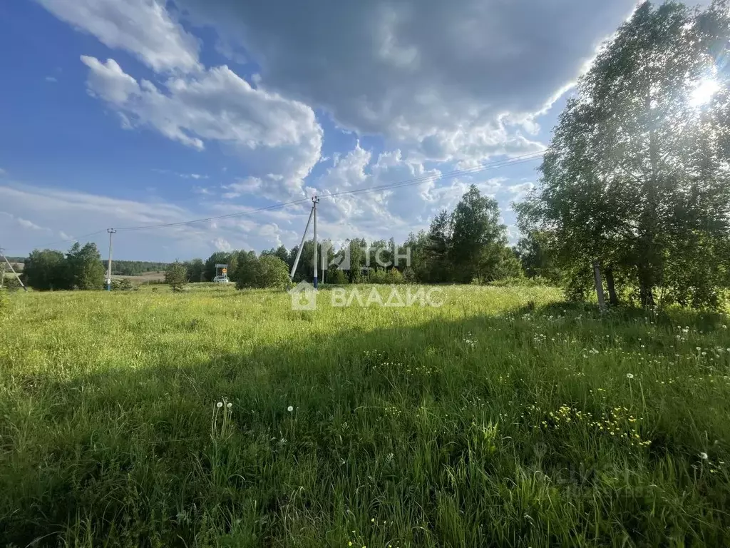 Участок в Московская область, Щелково городской округ, д. Хлепетово  ... - Фото 1