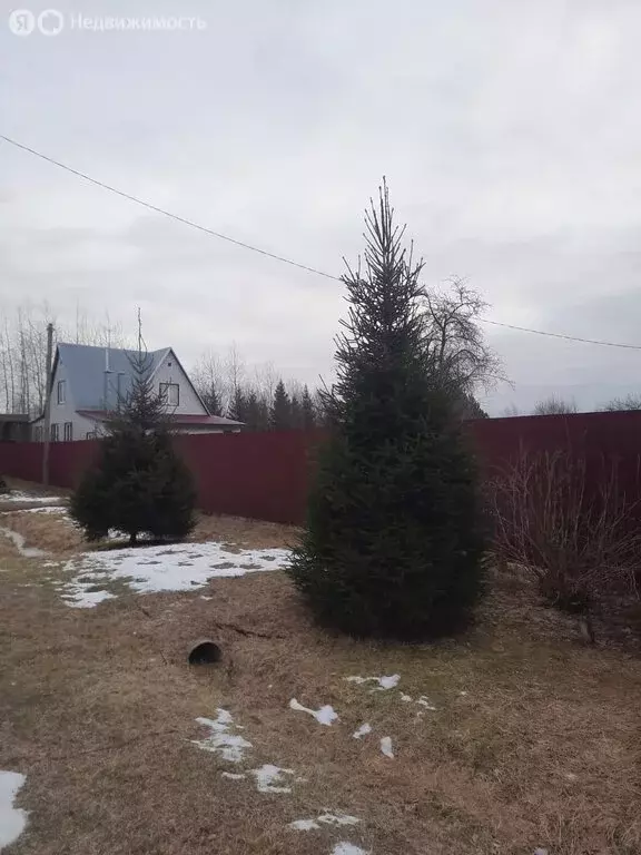 Участок в Павлово-Посадский городской округ, деревня Андреево, 21 ... - Фото 1