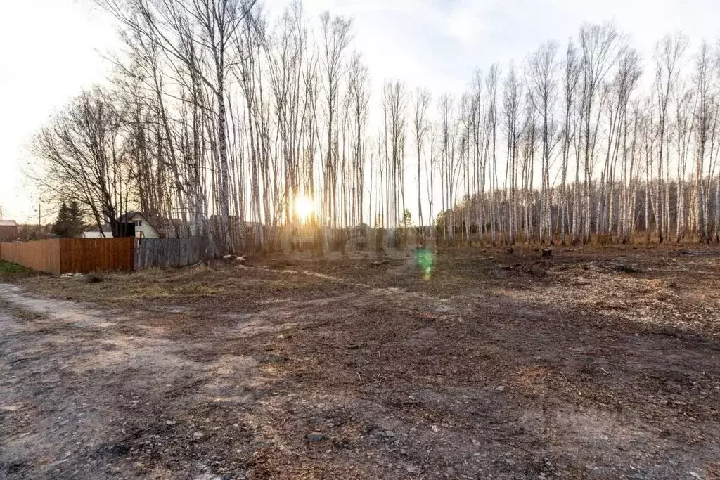 Участок в Тюменский район, садовое товарищество Искатель, Линейная ... - Фото 0