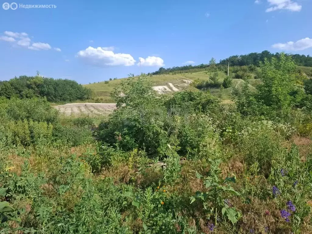Участок в Стрелецкое, квартал Заречье (13.3 м) - Фото 0