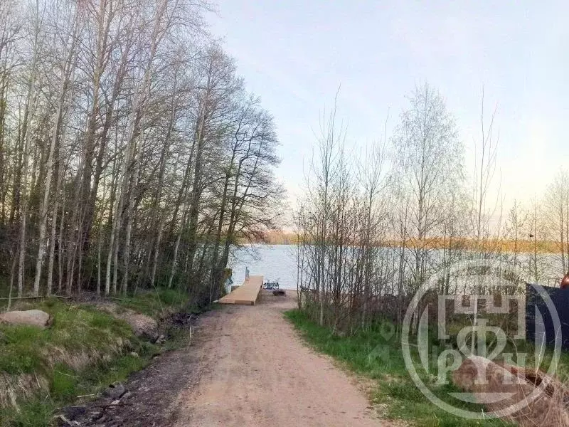 Участок в Ленинградская область, Выборгский район, Красносельское ... - Фото 1
