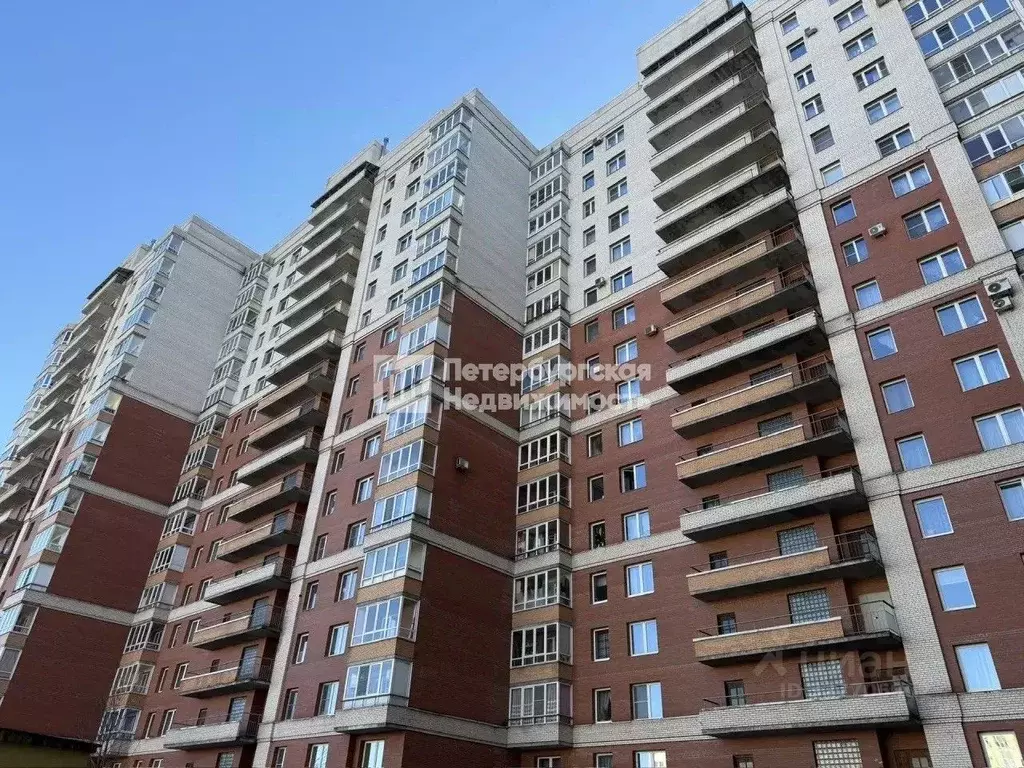 Студия Санкт-Петербург Дунайский просп., 7к3 (28.2 м) - Фото 2