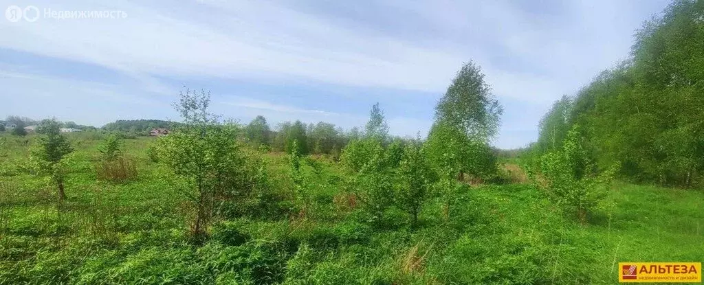Участок в Романово, Советская улица (8.88 м) - Фото 0