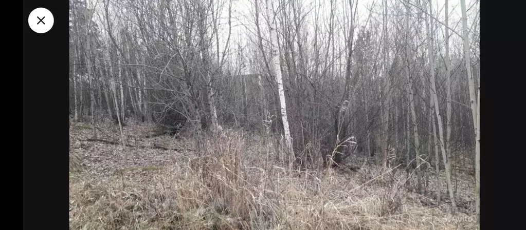 Участок в Иркутская область, Иркутский муниципальный округ, Раздолье-2 ... - Фото 1